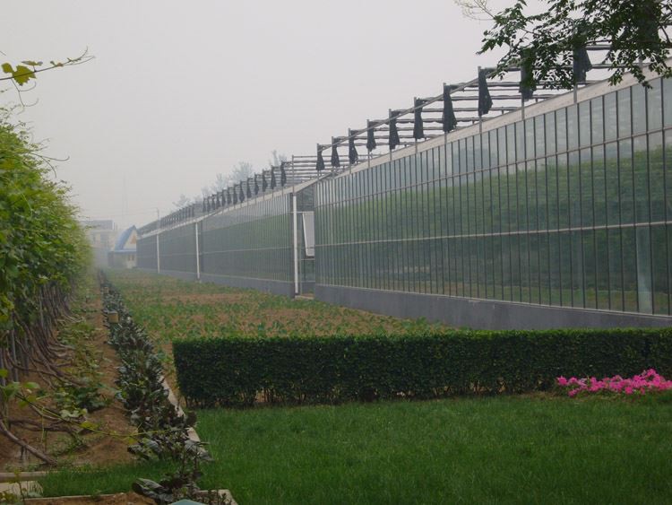 The difference between a solar panel greenhouse and a multi-span film greenhouse