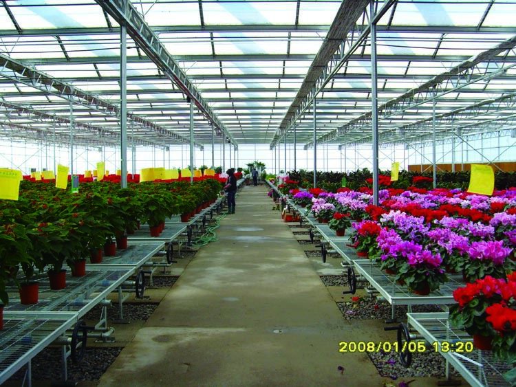 Glass Greenhouse Glass Greenhouse