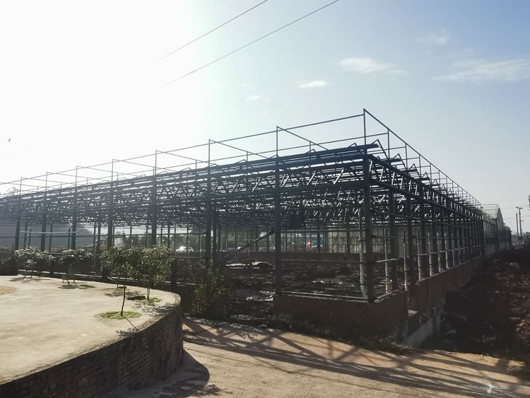 How should we maintain the greenhouse after the construction is completed