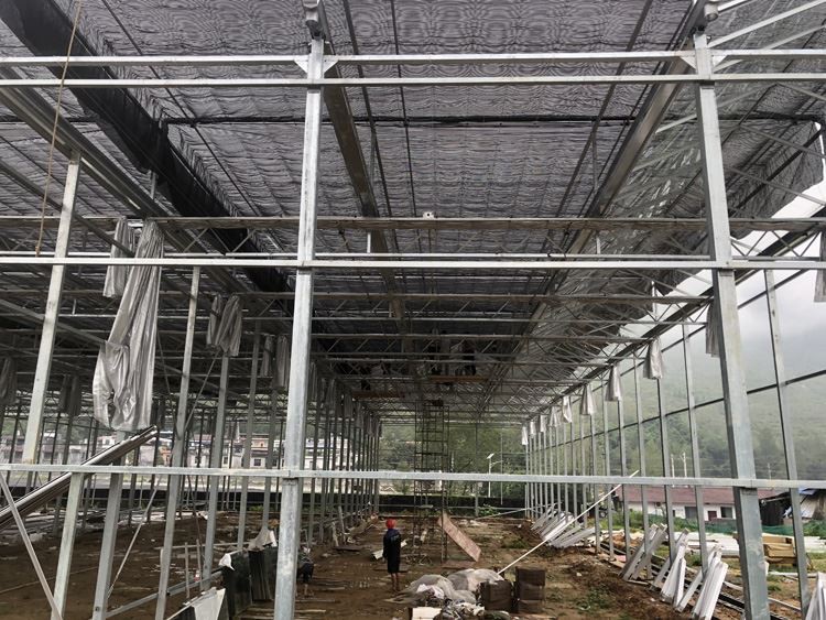 Glass Greenhouse Smart Sun Panel Greenhouse