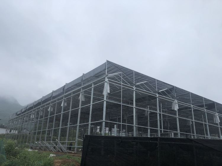 Glass Greenhouse