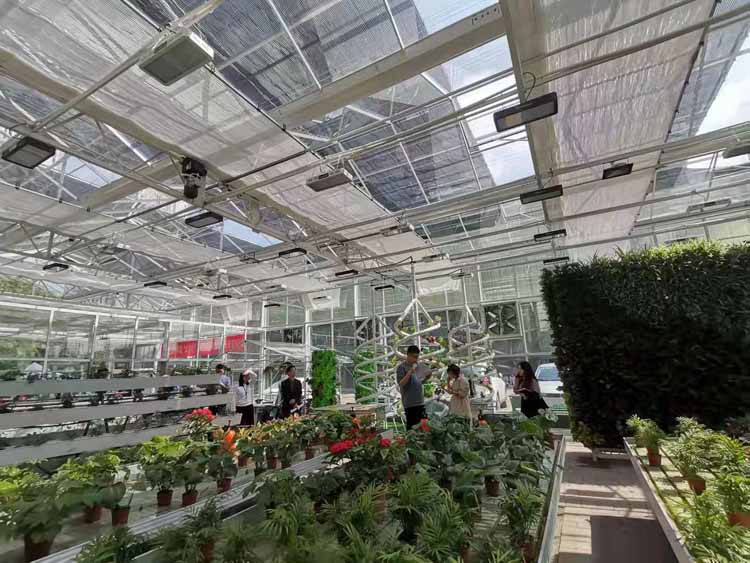 Analysis of the Four Characteristics of Photovoltaic Smart Greenhouse Construction