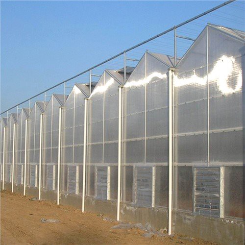 Jordbruk Multi-span Greenhouse